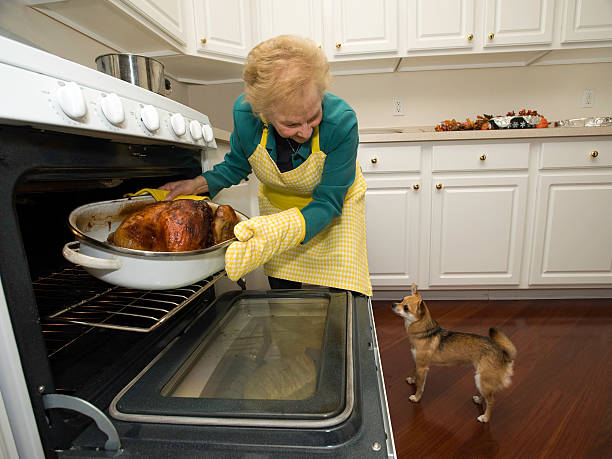 Holiday turkey coming out of the oven with a dog  funny thanksgiving stock pictures, royalty-free photos & images