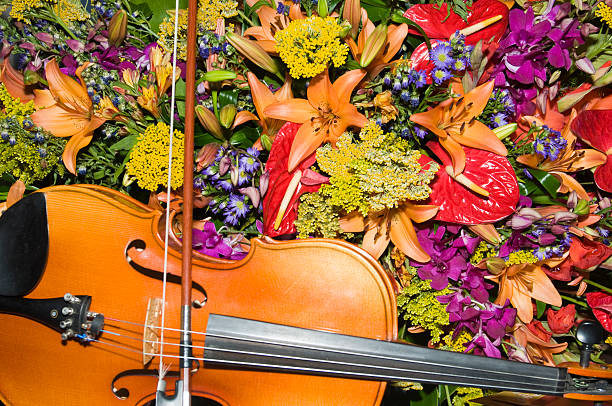 violino e bouquet de flores brilhantes - single flower bouquet flower holidays and celebrations imagens e fotografias de stock