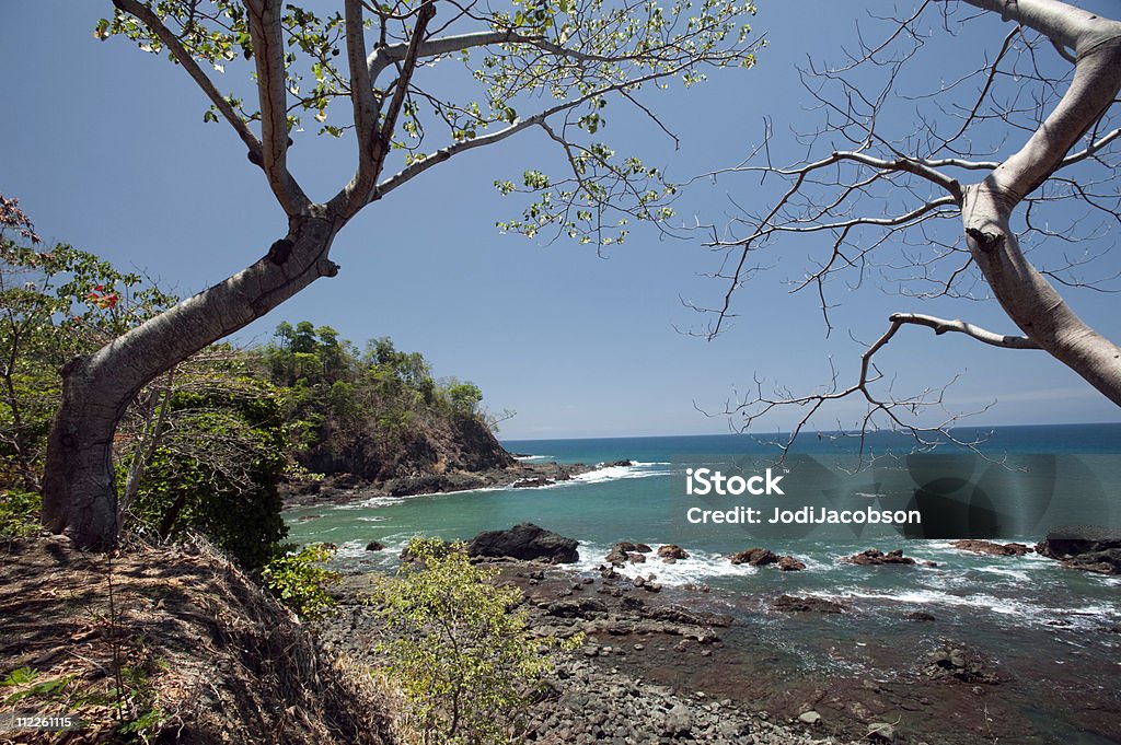 La côte de l'océan dans un cadre tropical shore - Photo de Avarice libre de droits