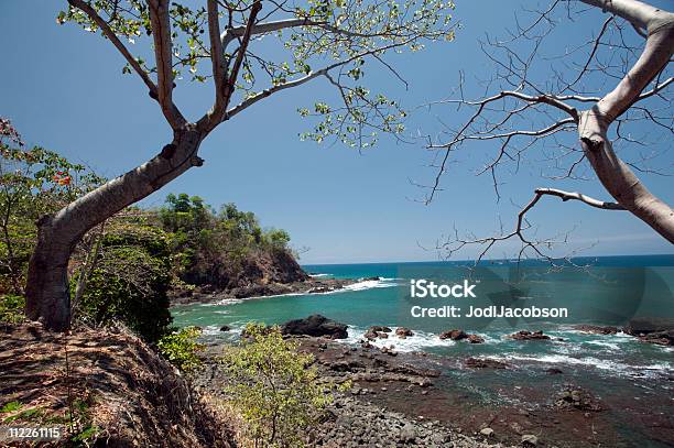 Photo libre de droit de La Côte De Locéan Dans Un Cadre Tropical Shore banque d'images et plus d'images libres de droit de Avarice - Avarice, Beauté de la nature, Ciel