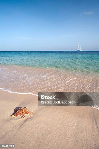 Estrella De Mar Y El Velero En El Paraíso Foto de stock y más banco de imágenes de Estrella de mar - Estrella de mar, Playa, Agua