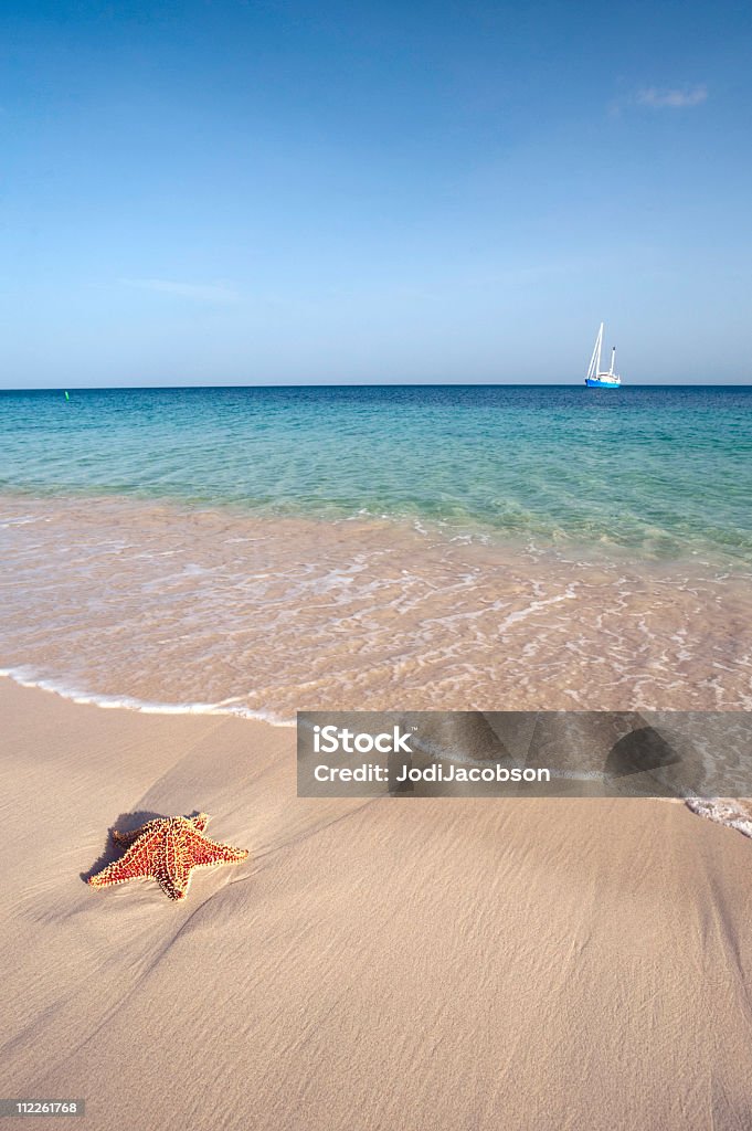 Estrela-do-mar e barco a vela no paraíso - Foto de stock de Estrela-do-mar royalty-free
