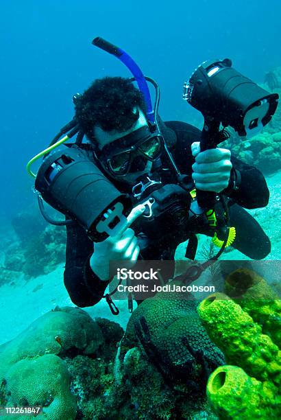 Subaquático Fotógrafo Fotografar Coral - Fotografias de stock e mais imagens de Granada - Ilhas Windward - Granada - Ilhas Windward, Avareza, Coral - Cnidário