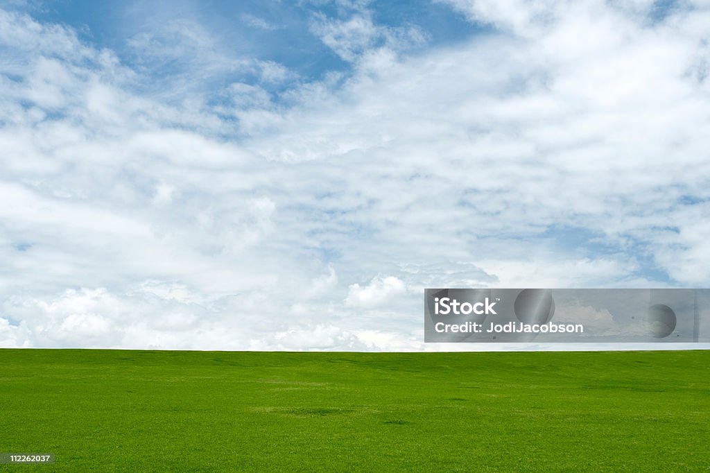 Blauer Himmel und grünem Gras - Lizenzfrei Agrarbetrieb Stock-Foto