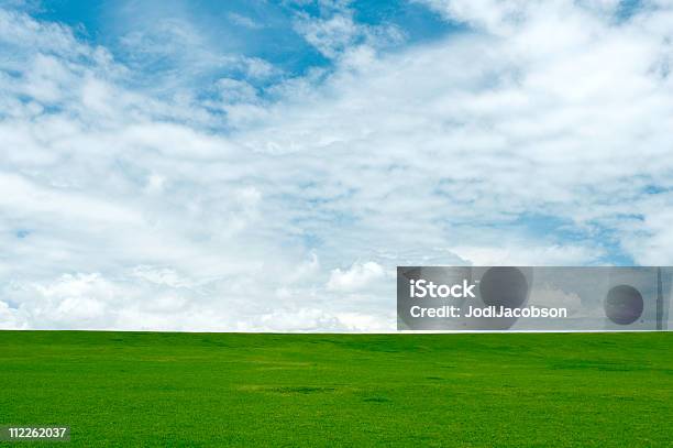 Blauer Himmel Und Grünem Gras Stockfoto und mehr Bilder von Agrarbetrieb - Agrarbetrieb, Blau, Ebene