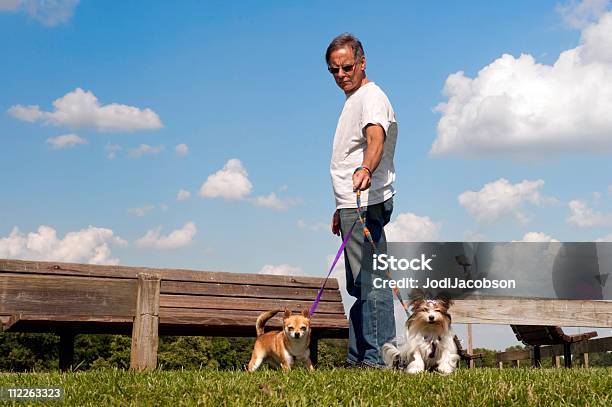 Big Man Small Dogs Stock Photo - Download Image Now - Adversity, Animal, Animal Hair
