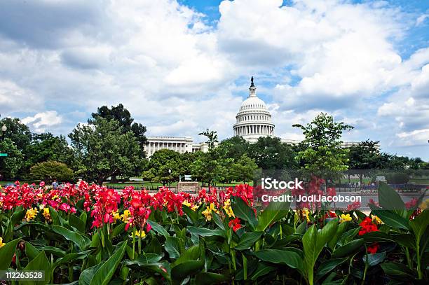 Capitol Building A Washington Dc Con Fiori E Giardino - Fotografie stock e altre immagini di Albero