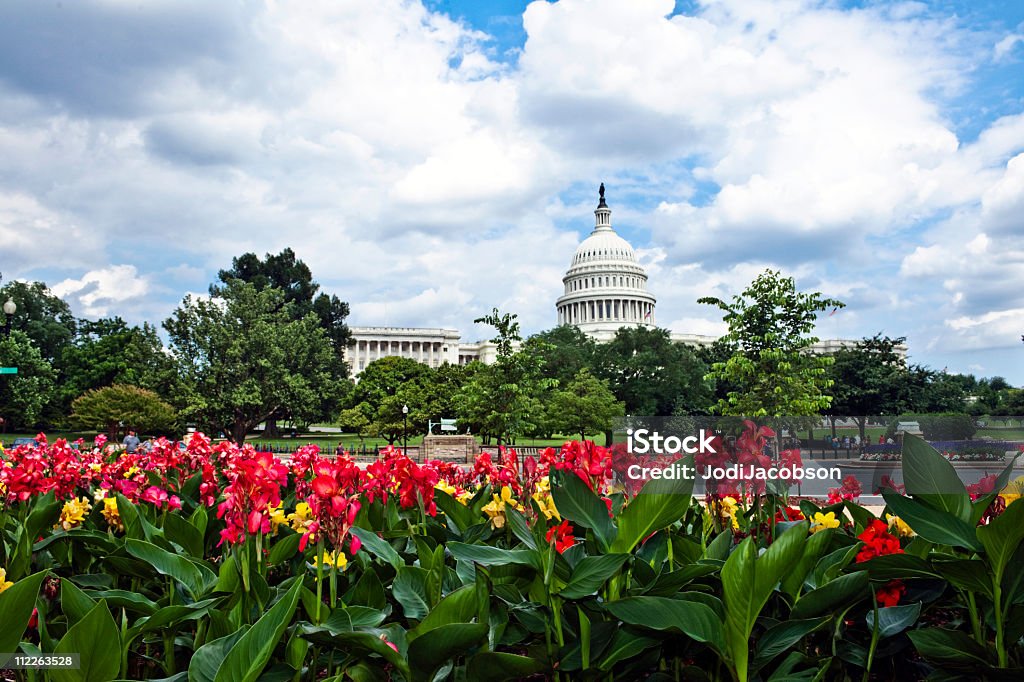 Edifício do Capitólio de Washington DC e do flower garden - Foto de stock de Arquitetura royalty-free