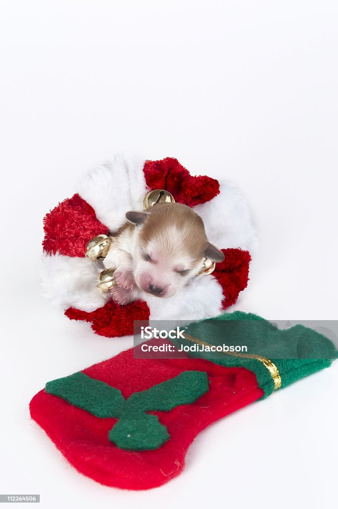 Bebés primera Navidad - Foto de stock de Acostado libre de derechos