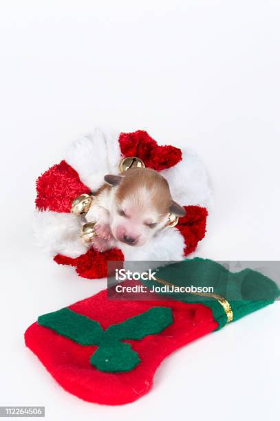 Bebés Primera Navidad Foto de stock y más banco de imágenes de Acostado - Acostado, Alegre, Alegría