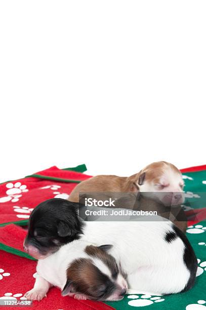 Bebés Primera Navidad Foto de stock y más banco de imágenes de Acostado - Acostado, Alegre, Alegría