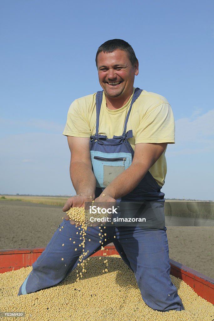 Harvest"" - Lizenzfrei Sojabohne Stock-Foto