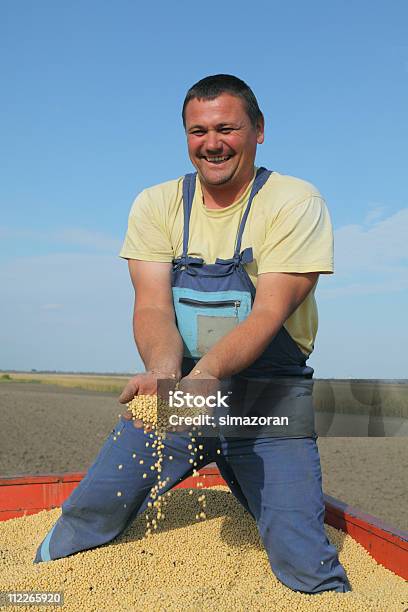 Harvest Stockfoto und mehr Bilder von Sojabohne - Sojabohne, Bauernberuf, Fröhlich
