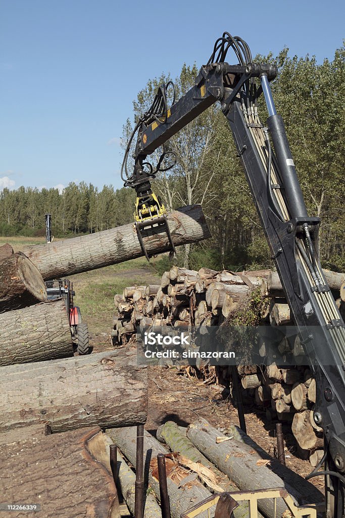 Forstwirtschaft - Lizenzfrei Ausbeutung Stock-Foto