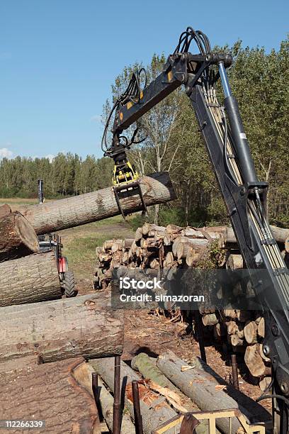 Forstwirtschaft Stockfoto und mehr Bilder von Ausbeutung - Ausbeutung, Ausrüstung und Geräte, Baum