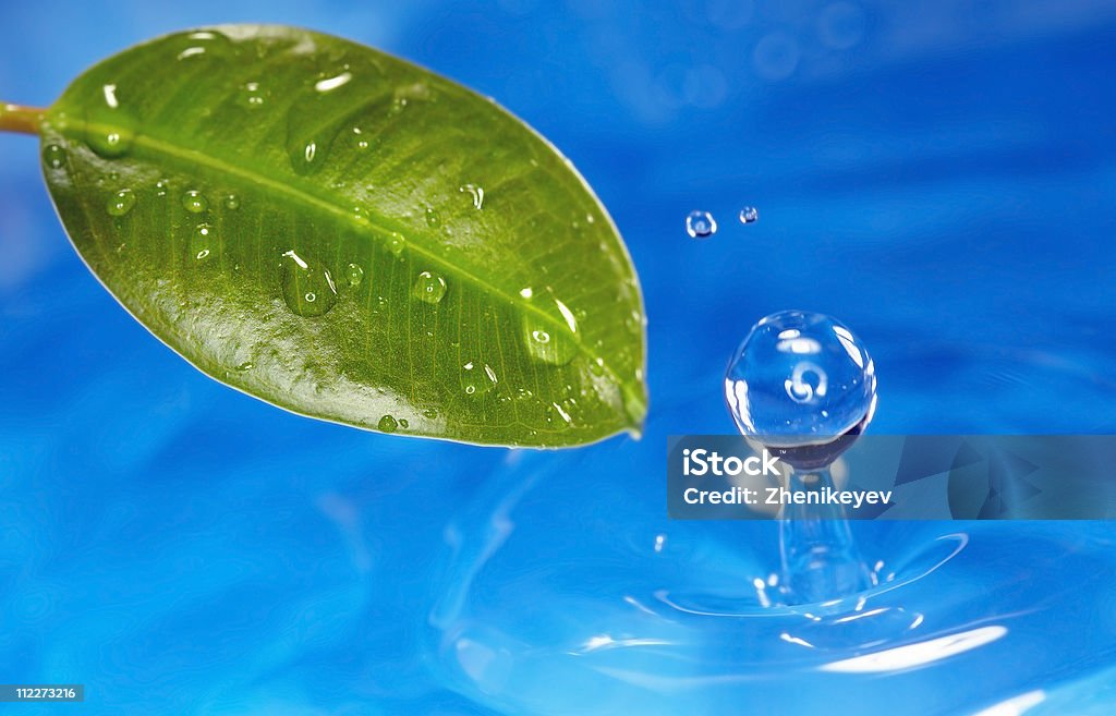 Foglia e acqua - Foto stock royalty-free di Acqua