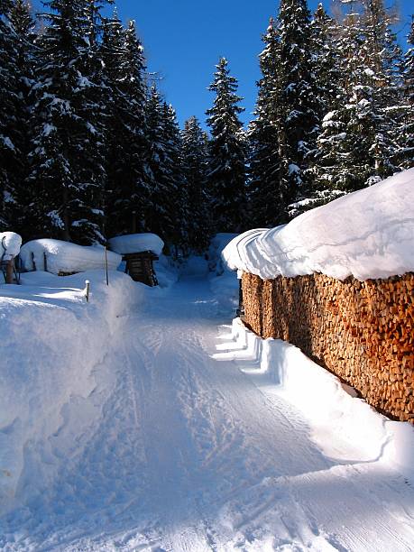 Camino de invierno - foto de stock