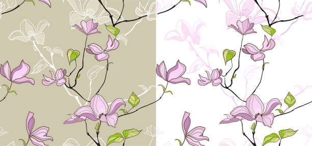 magnolia flowers vector art illustration