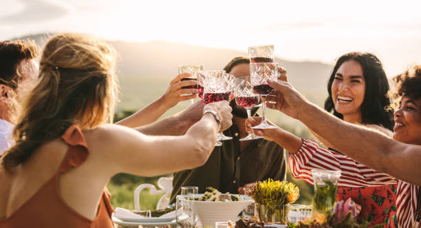 istock Group of young friends toasting drinks at a party 1124220541