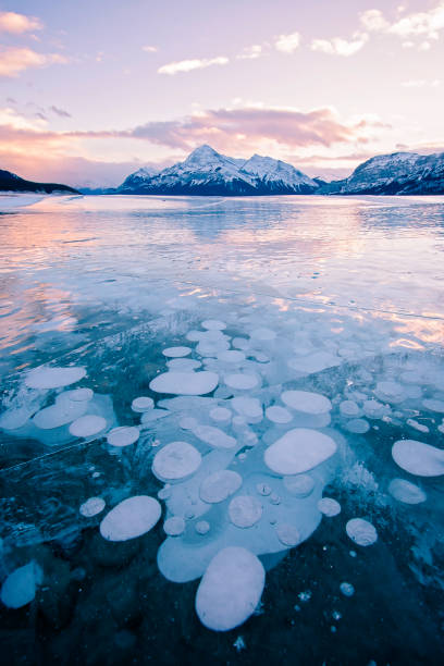 bulles de méthane congelés à abraham lake, comté de clearwater, alberta, canada - vertical scenics ice canada photos et images de collection