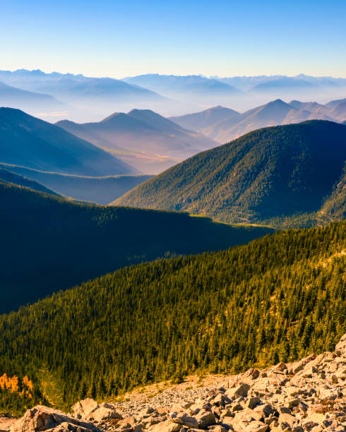 paesaggio montano stratificato di pedley pass, columbia britannica, canada - larice foto e immagini stock