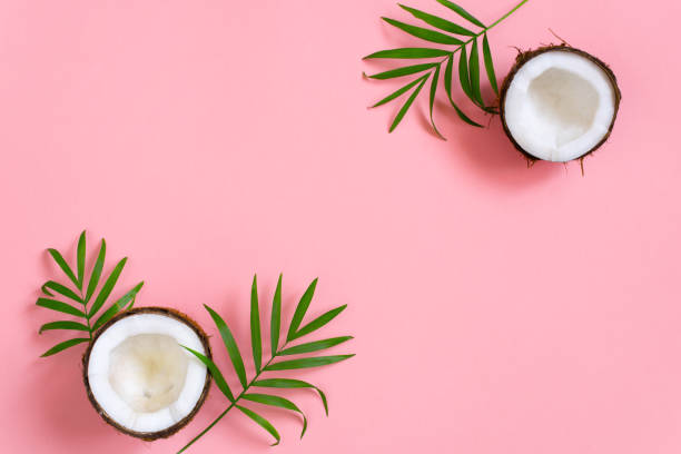 istock Pink tropical background with coconut and palm leaves 1124223581