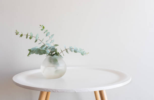 Eucalyptus leaves in small vase on white table
