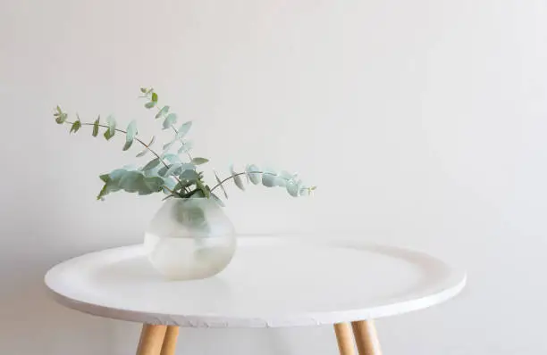 Photo of Eucalyptus leaves in small vase on white table