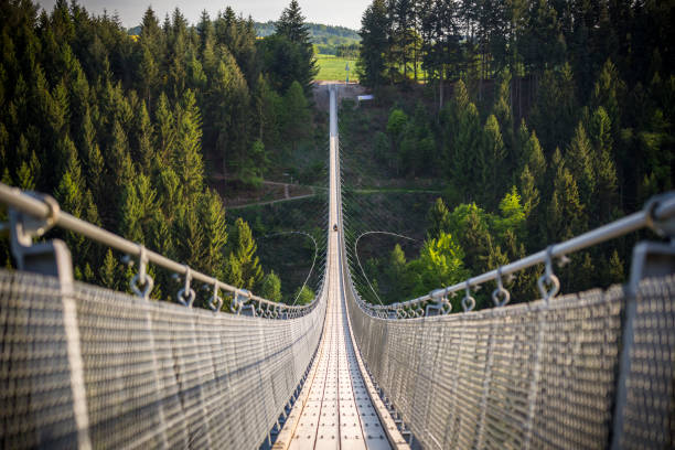 view to a large suspension bridge of germany