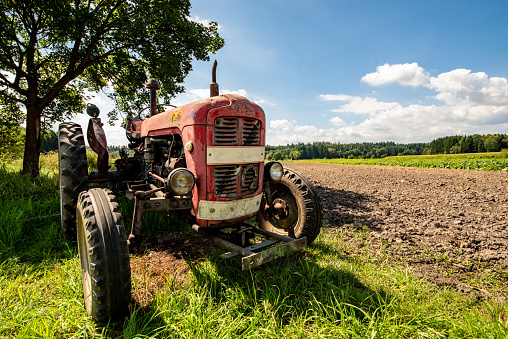 Old red rusty tractor in a field. Sunny summer day. Copy space