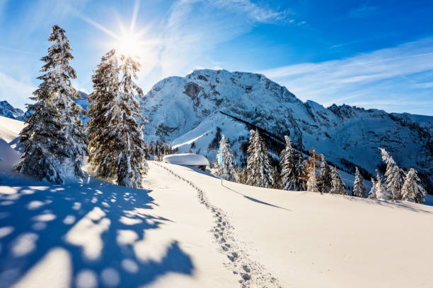 paisaje del país de las maravillas de invierno con chalet de montaña en los alpes - ski resort hut snow winter fotografías e imágenes de stock