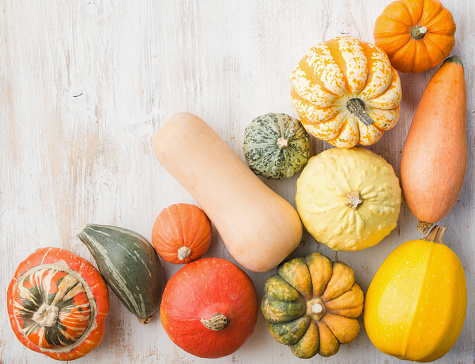 Assortment of pumpkins and gourds on the white wooden table background, top view, copy space for text, selective focus