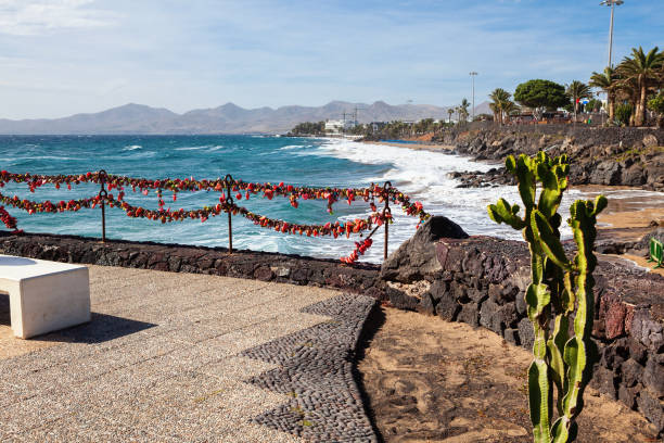 Puerto del Carmen beach in Lanzarote, Canary islands, Spain. blue sea, palm trees, selective focus