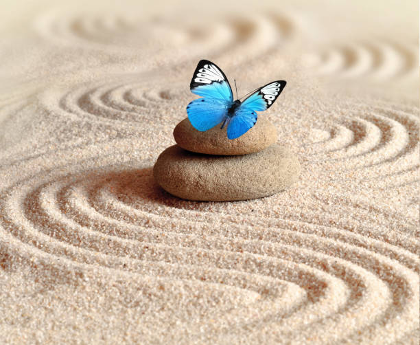 istock A blue vivid butterfly on a zen stone with circle patterns in the grain sand. 1124241936