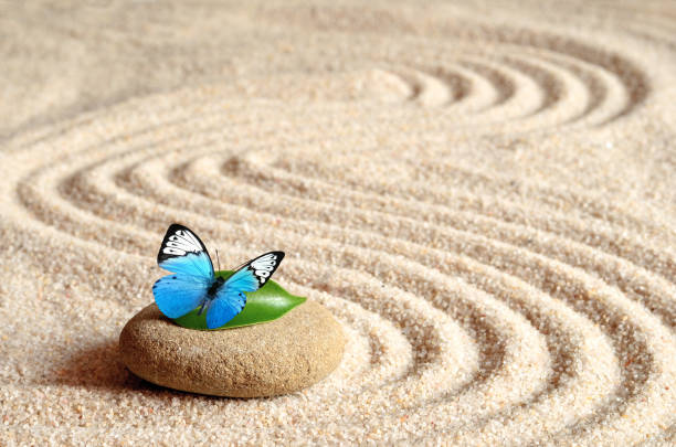 istock A blue vivid butterfly on a zen stone with circle patterns in the grain sand. 1124241955