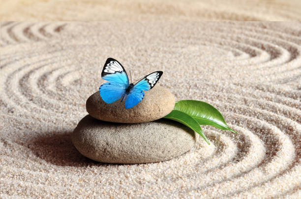 istock A blue vivid butterfly on a zen stone with circle patterns in the grain sand. 1124241956