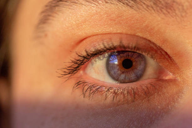 istock Macro of a woman's eye 1124242588