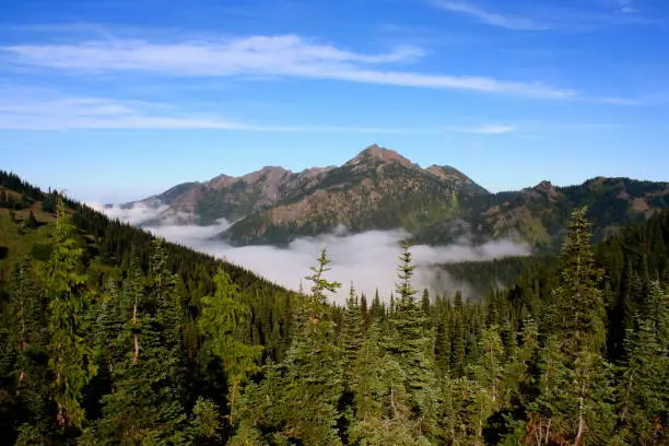 Summer in Olympic National Park in Washington