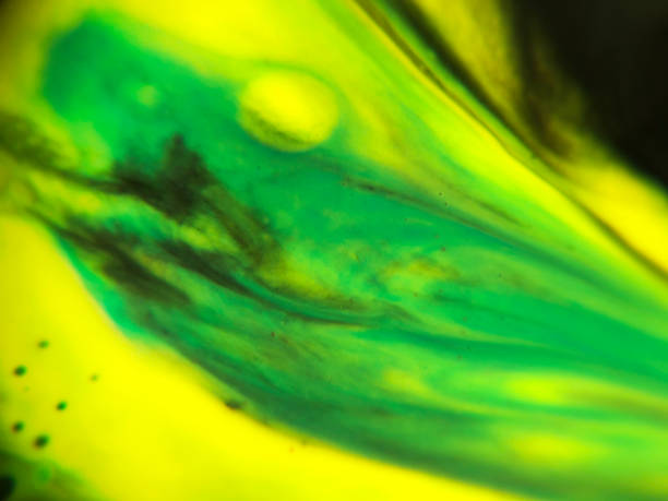 istock Blue, green and yellow colored abstract paint background. 1124255982