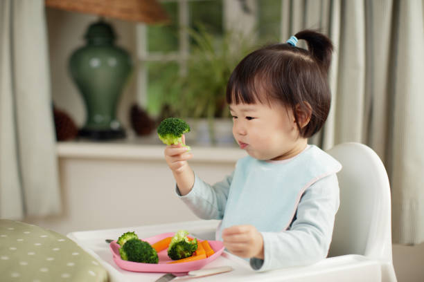chica de niño comiendo vegetales sanos sentado en silla alta al lado de una mesa en casa - healthy feeding fotografías e imágenes de stock
