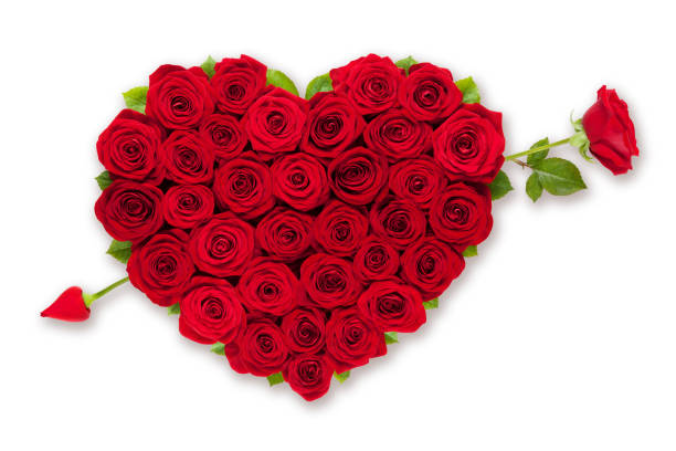 istock Red roses heart with an rose arrow on white background 1124263206