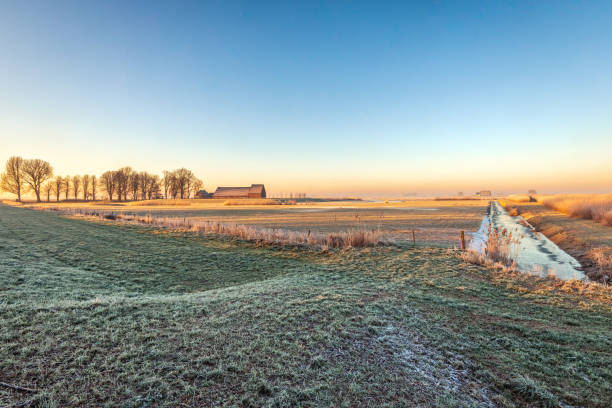 Dutch rural polder landscape in the winter season. In the background is a farm and barn within a ring dike due to the frequent floods caused by the high water level in the nearby river.