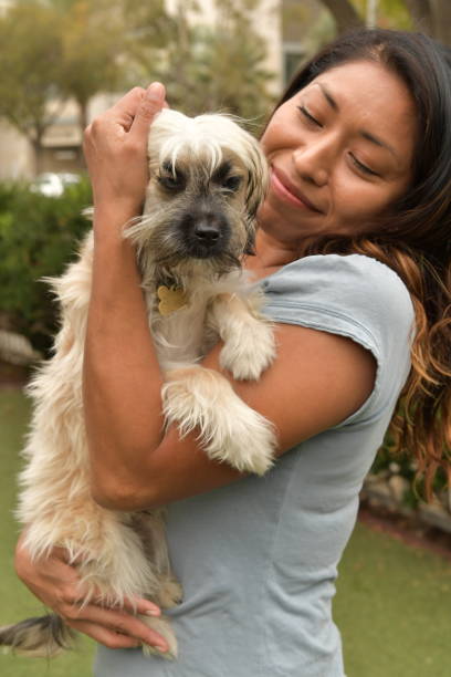 istock Rescue Animal - Shih Tzu mix puppy being held by a woman 1124265717