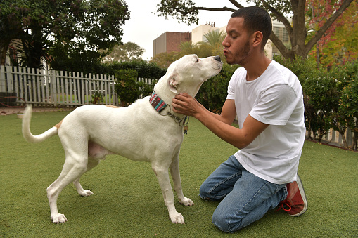 Latino man giving a kiss to “Bravo,” a 13 year old, male, white and tan, American Bulldog mix.  By using this photo, you are supporting the Amanda Foundation, a nonprofit organization that is dedicated to helping homeless animals find permanent loving homes.