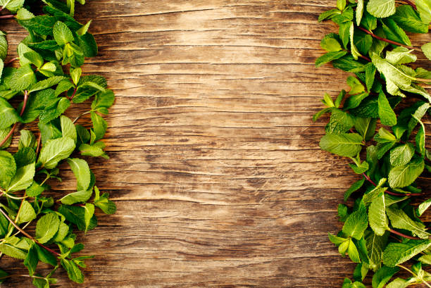 istock Fresh mint leafs on wooden background 1124277493