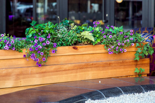 un bote de madera de tablones marrón con flores y plantas de hoja montado sobre mármol negro en el fondo de una ventana negra. - planta de tiesto fotografías e imágenes de stock