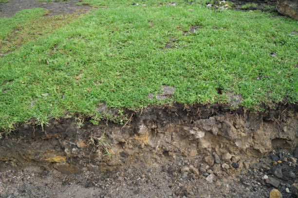 istock nature cross section soil underground with green grass 1124286749