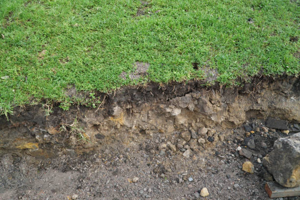 istock nature cross section soil underground with green grass 1124286750