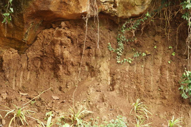 istock nature cross section soil underground with green grass 1124286873