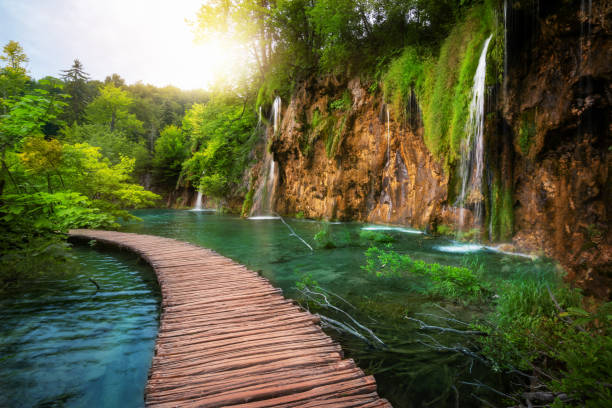 istock Beautiful wooden path in Plitvice Lake, Croatia. 1124291333
